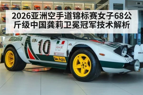 2026亚洲空手道锦标赛女子68公斤级中国龚莉卫冕冠军技术解析 | jiuyou game