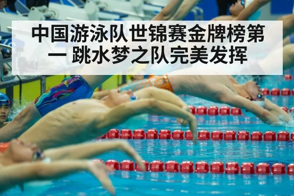 中国游泳队世锦赛金牌榜第一 跳水梦之队完美发挥 | jiuyou game