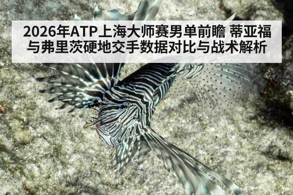 2026年ATP上海大师赛男单前瞻 蒂亚福与弗里茨硬地交手数据对比与战术解析