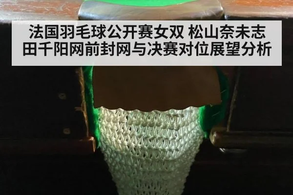 法国羽毛球公开赛女双 松山奈未志田千阳网前封网与决赛对位展望分析